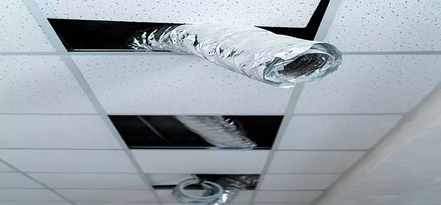 Affordable HVAC Sanitizing After Pest Removal in Los Altos