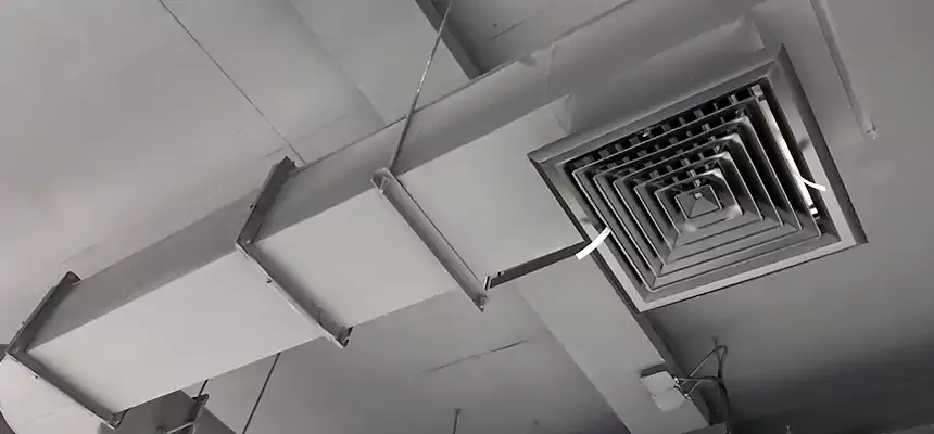 Our Pest Removal From Ducts Services in Los Altos, CA