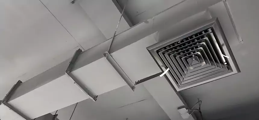 Our Rodent Droppings In Vents Services in Los Altos, CA