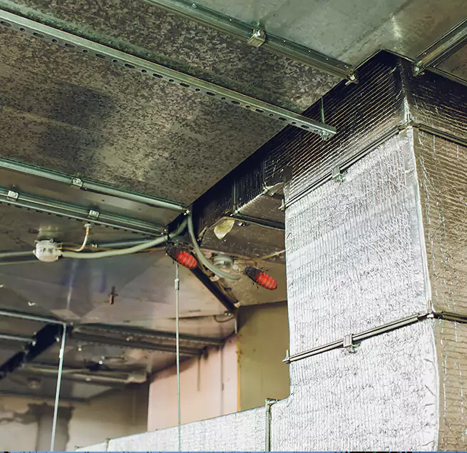 Why Homeowners & Businesses Trust Us in Los Altos, CA?