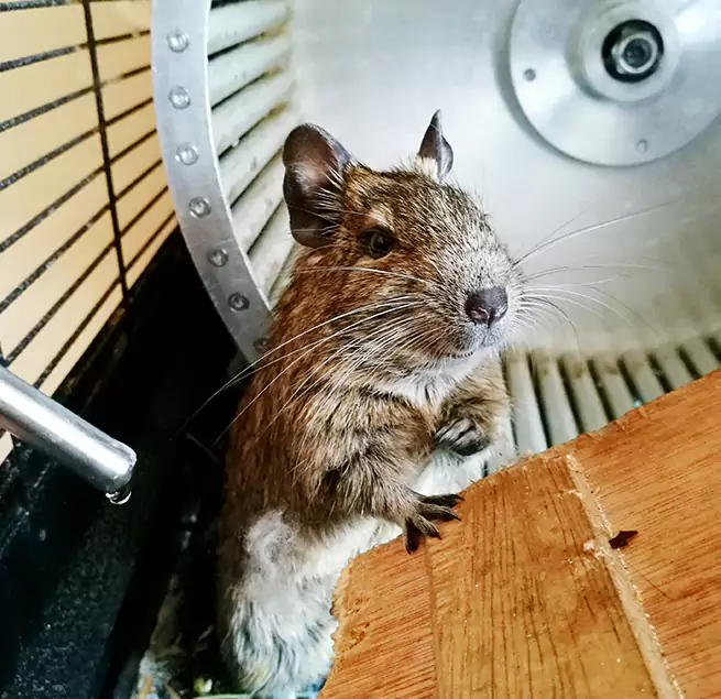 Why Homeowners & Businesses Trust Us Los Altos, CA