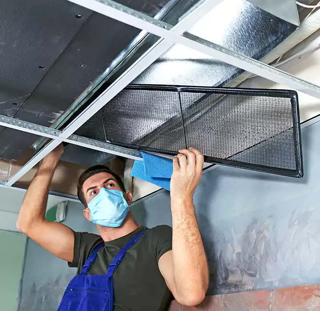 Why Homeowners Businesses Trust Us in Los Altos, CA