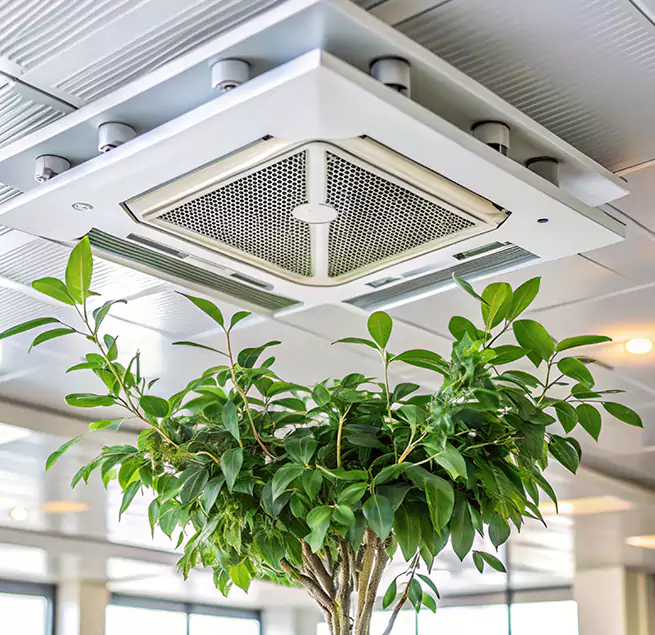 Why Homeowners & Businesses Trust Us in Los Altos, CA?